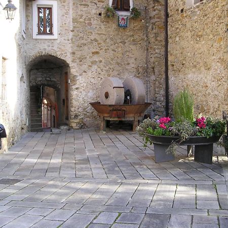 Casa Gianni Apartment Vallebona Екстериор снимка